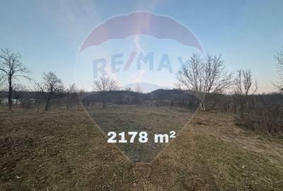 Teren de 3121 mp, în Buhoci
