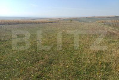 Teren Construcții extravilan de 800 mp, în Moara