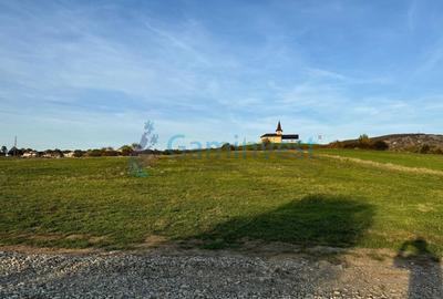 Teren Construcții intravilan de 5487 mp, în Betfia - 2