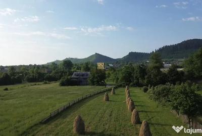 Teren de 10304 mp, în Slatina - 9