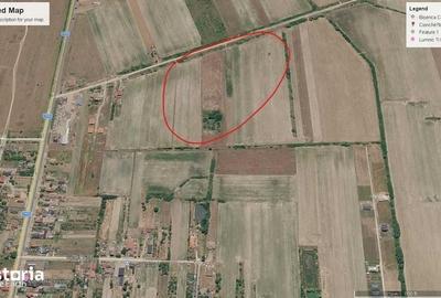 Teren de 9600 mp, în Viile Satu Mare