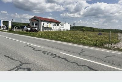 Teren de 350 mp, în Pielești - 2