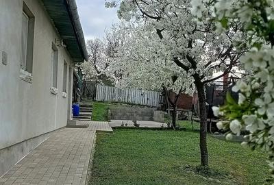Casă cu 2 camere cu Teren 910 Mp în Central - 2