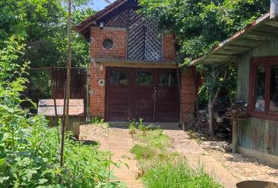 Casă cu 4 camere cu Teren 2700 Mp în Teiș - 3