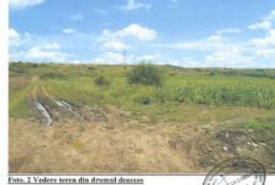 Teren extravilan de 26000 mp, în Ostroveni - 1