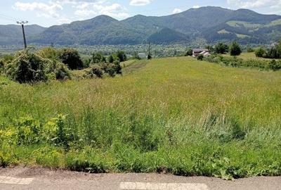 Teren intravilan de 8600 mp, în Viișoara - 8