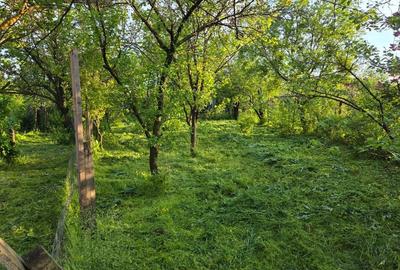 Garsonieră în Moșteni