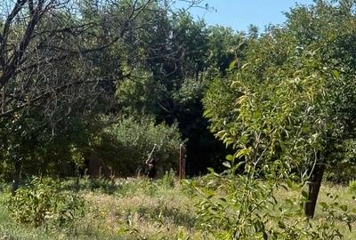 Teren de 3000 mp, în Central