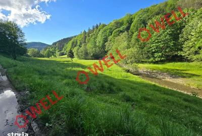 Teren de 57000 mp, în Vama Buzăului - 7