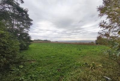Casă cu 2 camere cu Teren 3000 Mp în Pădureni - 2