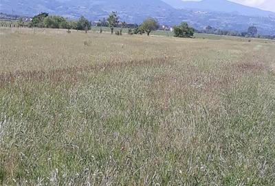 Teren de 8600 mp, în Central - 8