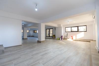 Spațiu comercial, de 130 mp, în Banat - 2