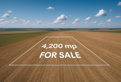 Teren de 4200 mp, în Daia Română