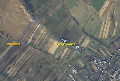 Teren de 18800 mp, în Rotopănești - 1