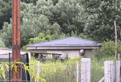 Casă cu 3 camere cu Teren 500 Mp în Clinceni - 8