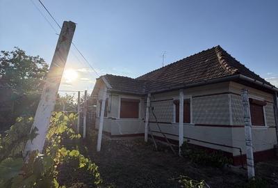 Casă cu 2 camere în Urca