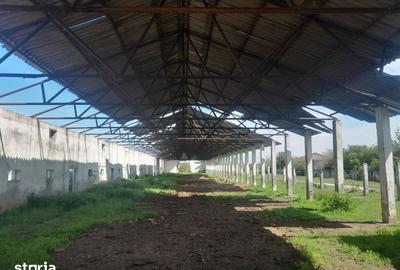 Teren de 84179 mp, în Izvoru - 5