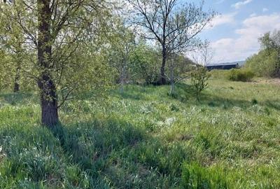 Teren de 2000 mp, în Central
