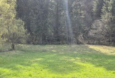 Teren de 4096 mp, în Tarcău - 3