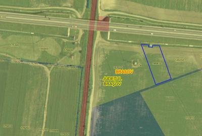 Teren Construcții intravilan de 2650 mp, în Rulmentul - 2