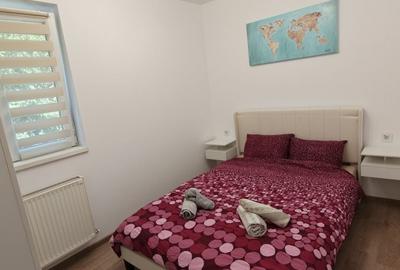 Apartament cu 2 camere semidecomandat în Dosu Bricii