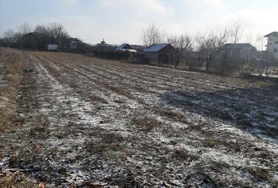 Teren de 1160 mp, în Jilava - 1