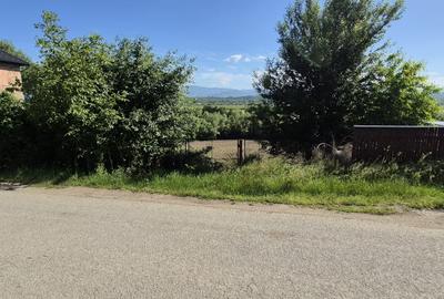 Teren intravilan de 1290 mp, în Coltău - 5