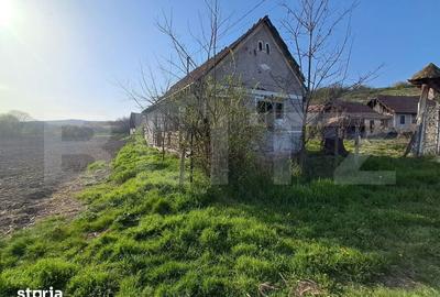 Casă cu 4 camere cu Teren 15000 Mp în Bichiș - 8