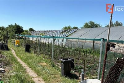 Casă individuală cu 5 camere cu Canalizare în Aradul Nou - 7