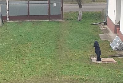 Casă cu Teren 1500 Mp în Bocicoiu Mare
