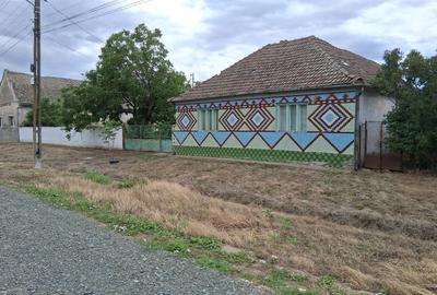 Casă individuală cu 3 camere cu Teren 585 Mp în Vălcani - 1