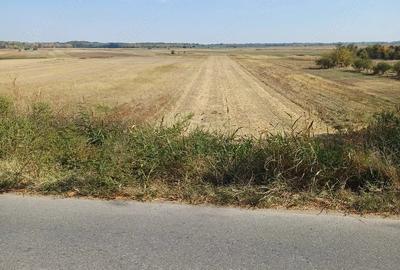 Teren de 5000 mp, în Gura Șuții