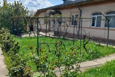 Casă individuală cu 5 camere cu Teren 1260 Mp în Afumați - 1