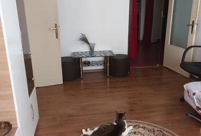 Apartament cu 4 camere decomandat, mobilat în Militari - 6