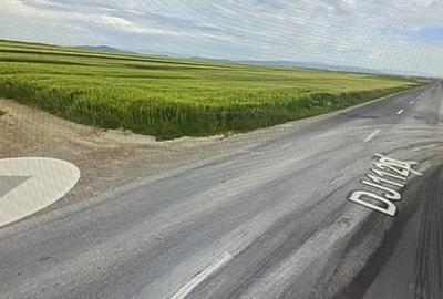 Teren în Cărpiniș - 4