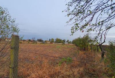 Teren de 1739 mp, în Padina - 9
