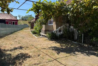 Casă cu 3 camere în Chendremal
