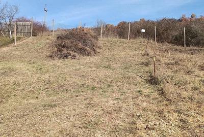 Teren de 444 mp, în Baciu - 1