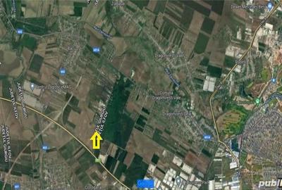 Teren de 10550 mp, în Joița - 5