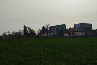 Casă individuală cu 36 camere cu Teren 30000 Mp în Tineretului - 1