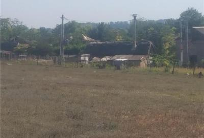 Teren de 3000 mp, în Murighiol - 1