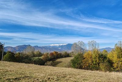 Teren agricol extravilan de 5800 mp, în Sohodol - 8