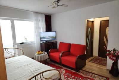 Apartament cu 2 camere semidecomandat în Uric - 3