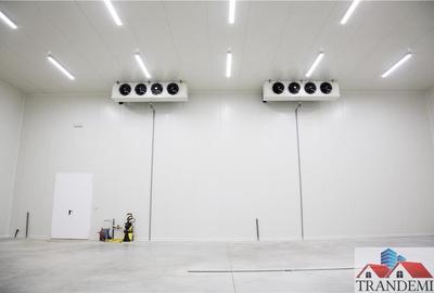 Spațiu comercial, de 1,200 mp, în Lancrăm - 13