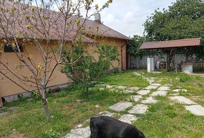 Casă cu Teren 1500 Mp în Mircea Vodă - 5