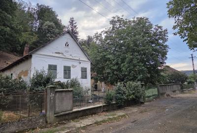 Casă cu 3 camere în Central