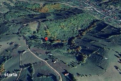 Teren de 13434 mp, în Bran