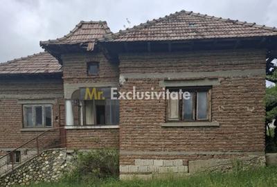 Casă cu 3 camere în Slătioarele