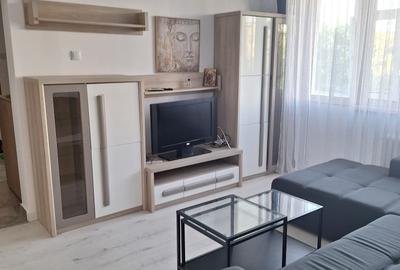 Apartament cu 2 camere semidecomandat în Berceni - 1