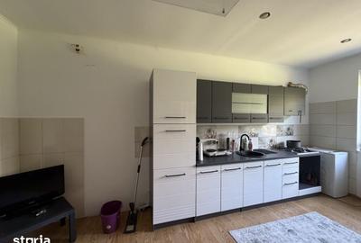 Casă cu 6 camere cu Teren 480 Mp în Banloc - 3